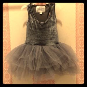 Grey velvet tutu